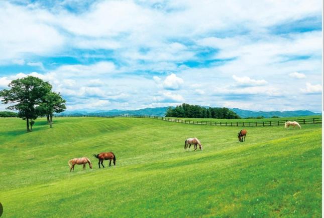 Villa ヴィンテージ那須 à Nasu Extérieur photo